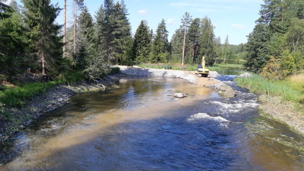 The construction of the rapids was facilitated by a work dam.