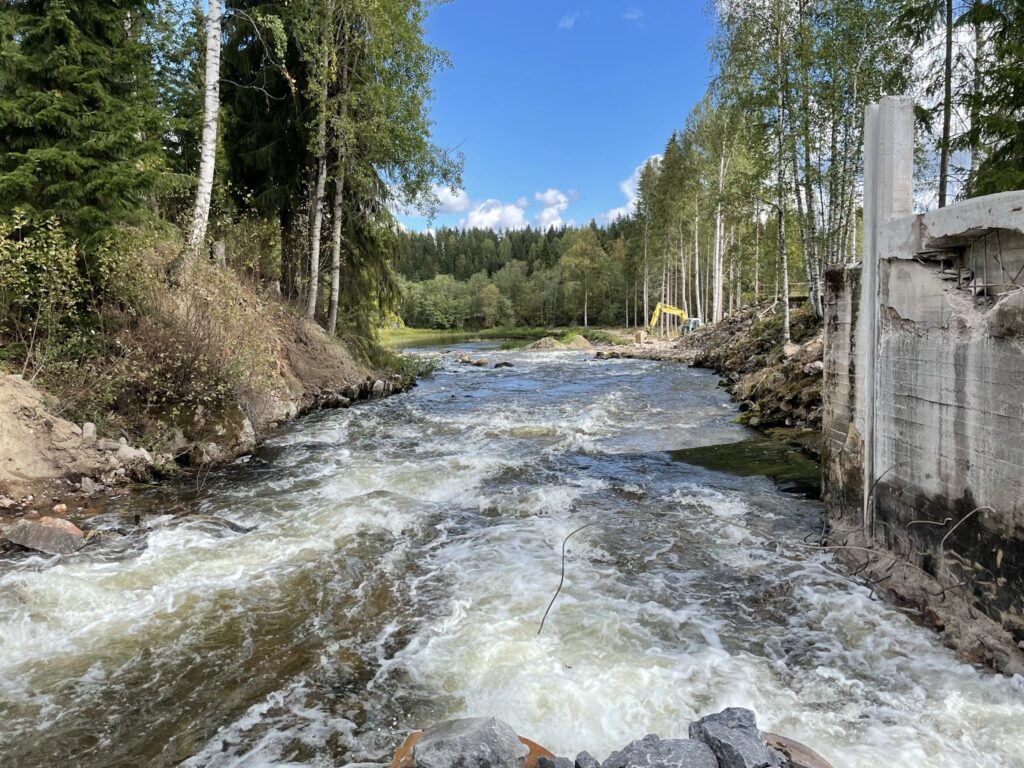 Rapids at the former dam.
