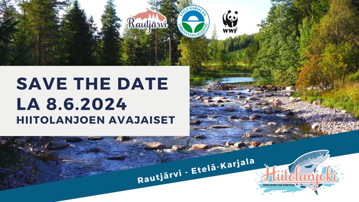 Save the Date – Hiitolanjoen avajaiset järjestetään la 8.6.2024!
